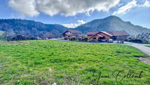 Dpt Haute Savoie (74), à vendre SAINT JEAN DE THOLOME terrain 971 m2