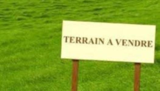 Terrain Vente Messon  1100m² 35000€