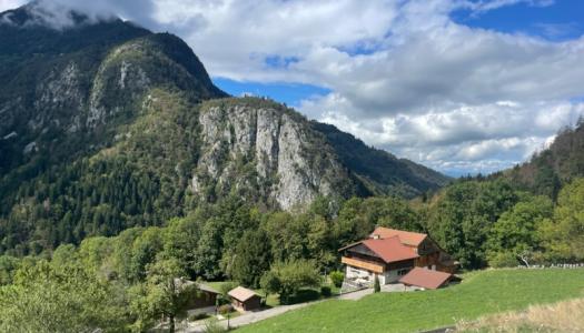 Dpt Haute Savoie (74), à vendre LE PETIT BORNAND LES GLIERES terrain