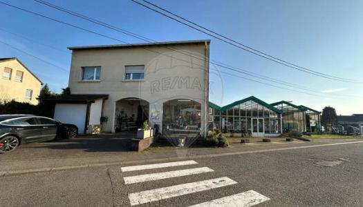 Local commercial 205 m²